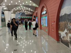 -杨庄(地铁站)