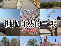 -白水寺森林公园