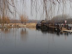 -前关湿地公园