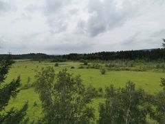 -塞罕坝国家级自然保护区