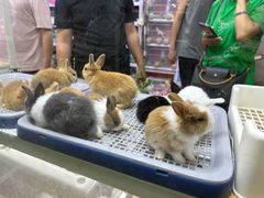 -三旗百汇商品城