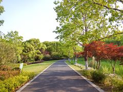 -昆山城市生态森林公园