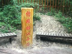 -大青沟风景区