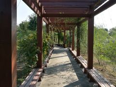 -鹅湖玫瑰文化园