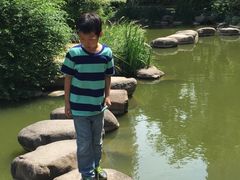 -新湖明珠城