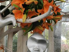 -上海鲜花港