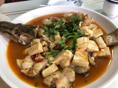 -煲来饱去冷水鱼