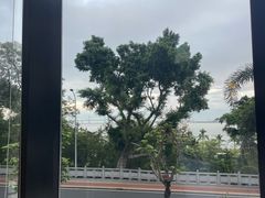 -海湾壹品·粤菜·早茶·烤鸭(拱北店)