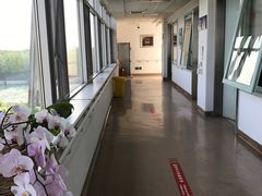 -首都医科大学附属北京地坛医院