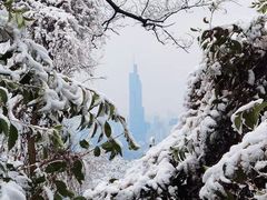 -紫金山山顶公园