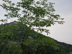 -云洞岩风景区