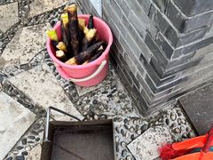 -都江堰中华大熊猫苑