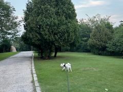 -甘井子公园