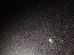 -K100佰份佰KTV(福田店)