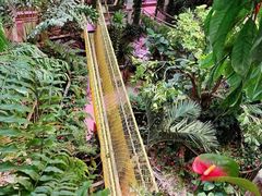 -正佳雨林生态植物园