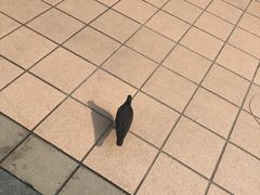 -詹爷爷乌节路街头冰淇淋