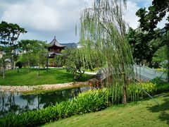 -四海公园(南山区)