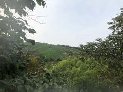 -天目湖御水温泉·度假酒店