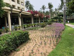 -三亚亚龙湾天域度假酒店