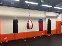 -体育科代表搏击散打体能训练馆(陶然亭店)