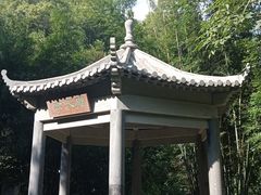 -羚羊峡古栈道森林公园