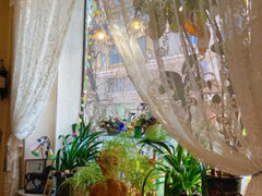 -露西亚咖啡西餐厅(哈尔滨俄侨纪念馆店)