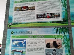 -都江堰中华大熊猫苑