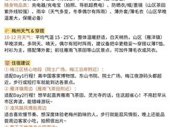 -梅州天地人花园酒店(梅县人民广场店)