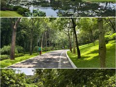 -云溪植物园