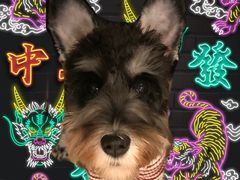 -喔爸韩国料理(环球银泰城店)