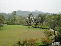 开元华城九龙湖渡假村-宁波九龙湖开元度假村