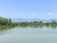 -翠湖国家城市湿地公园