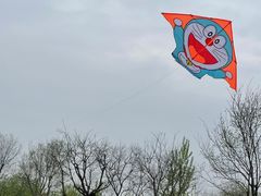 -西安浐灞国家湿地公园