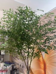 -佳颜轻医美·美学抗衰中心