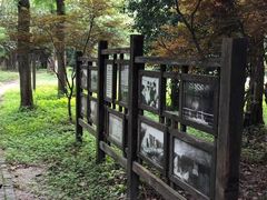 -东平国家森林公园