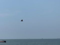 -碣石国家级海洋公园