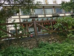 -南宁良凤江国家森林公园