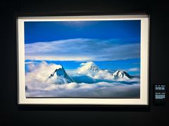 -罗红摄影艺术馆