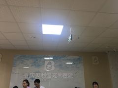 -宠颐生贝利健动物医院(谢家湾分院)