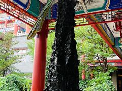 -大明幻境第一城