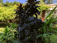 -广州兰圃