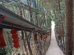 -浏阳石牛寨风景区