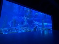 -哈尔滨波塞冬海底世界