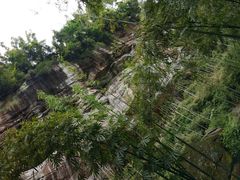 -川西竹海景区