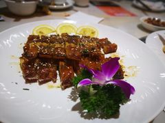 -港升鱼师傅·中山脆肉鲩