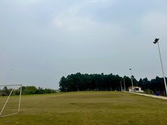 -空港花田景区