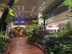 -樟宜机场免税店