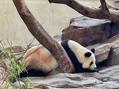 -宁波野生动物园