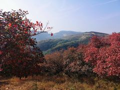 -博山九龙峪风景区