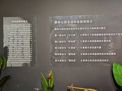 -西双版纳原始森林公园